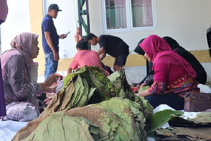 Kurangi Sampah Plastik, ASN Blora Bungkus Daging Kurban Pakai Daun Jati