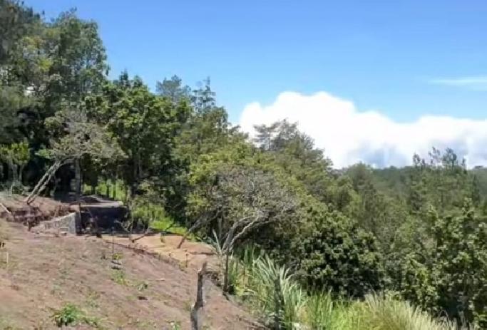 Bangunan di Hutan Kintamani Bikin Heboh, DPRD: Kalau Tak Punya Izin, Bongkar!