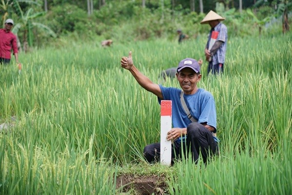 Dirjen SPPR ATR/BPN: Patok Batas Tanah Jadi Kunci Pengamanan Aset dan Percepatan Pengukuran