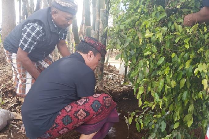 Bangli Kembangkan Desa Wisata Berbasis Hutan Adat, DPRD Dukung Konservasi dan Ekonomi Hijau