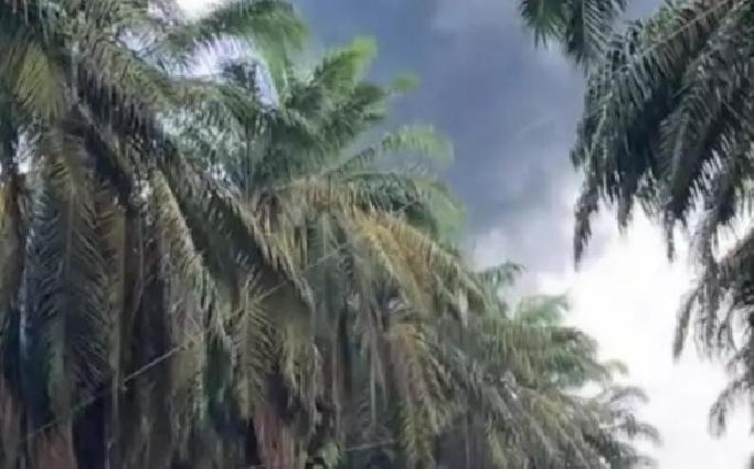 Belum Ada Tersangka, DPD BPAN-AI Sumsel Pertanyakan Kinerja APH