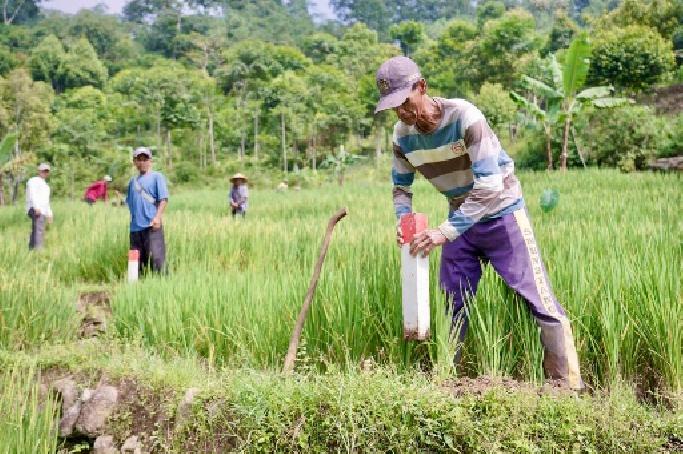Pasang Patok Dinilai Efektif Cegah Sengketa Batas Tanah Antarwarga