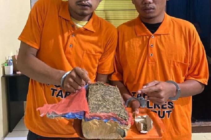 Polres Taput Ringkus 5 Pelaku dan 1 Residivis Narkotika