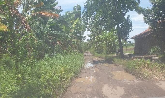 Pecantilan Desa Tawangsari, Jabar Yang Terlupakan