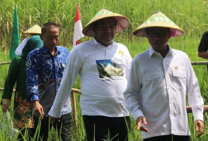 Mendes PDT Restui Blora Jadi Pusat Sorgum Nasional