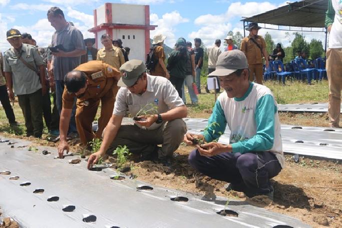 Bupati Taput Dorong BUMDes Sisordak Jadi Pemasok Program Makan Bergizi Gratis
