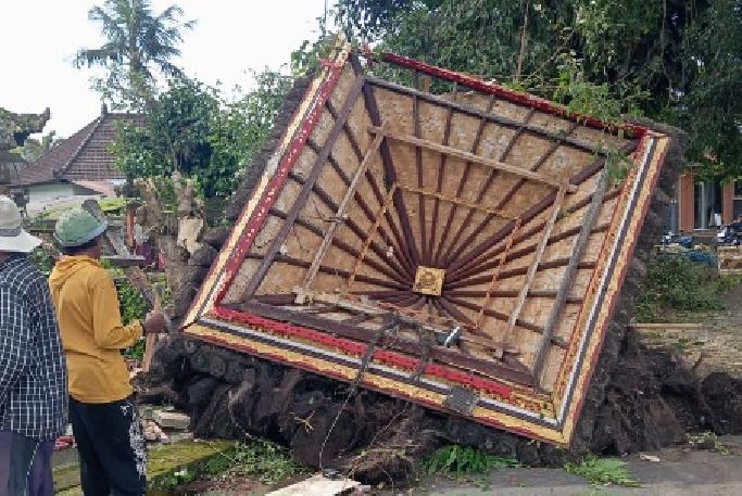 Cuaca Ekstrem Landa Bangli, Angin Kencang Rusak Bangunan dan Tumbangkan Pohon