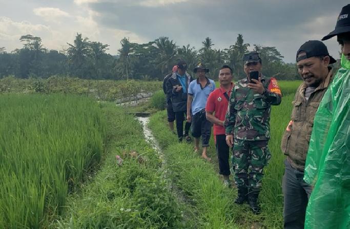 Jaringan Irigasi Bangli Rusak Parah, Petani Terpaksa Beli Beras