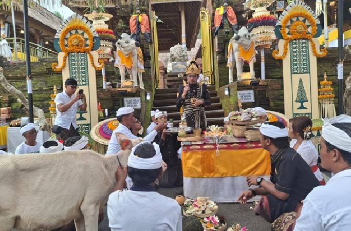 Upacara Maligia Punggel Massal di Bebalang: Tujuh Sulinggih Pimpin Prosesi Puncak