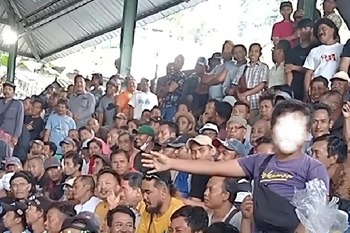 Terkesan Kebal Hukum, Judi Tajen Diduga Masih Berlangsung di Bali dan Jadi Sorotan Publik