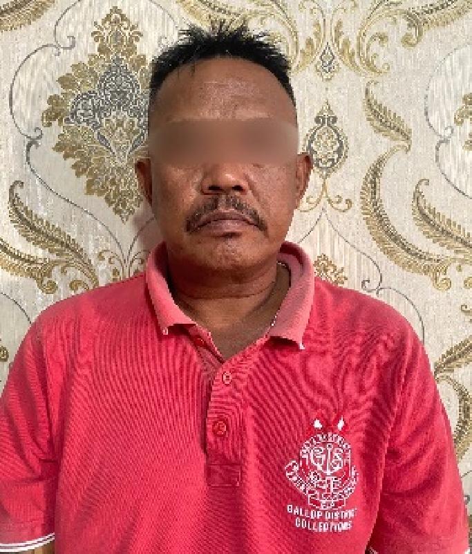 Ditresnarkoba Polda Lampung Ungkap Ladang Ganja di Bakauheni