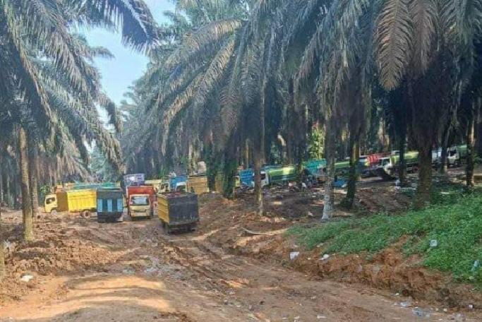 Polsek Keluang dan Polres Muba Dinilai Gagal Atasi Ilegal Drilling di Lahan PT Hindoli