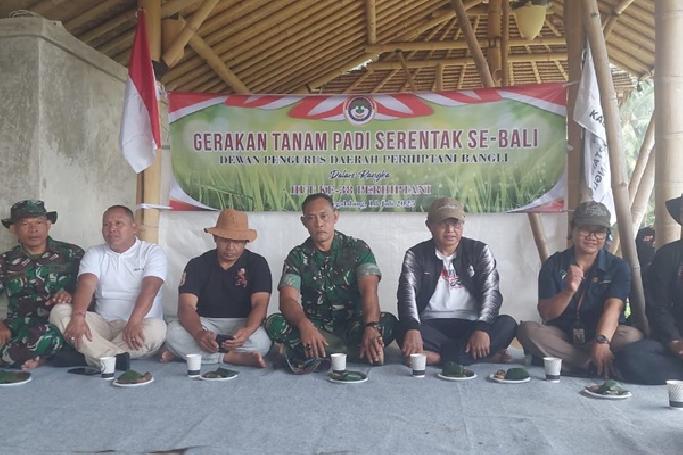 Rayakan HUT ke-38, Perhiptani Bangli Tanam Padi Serentak Bersama TNI dan Petani