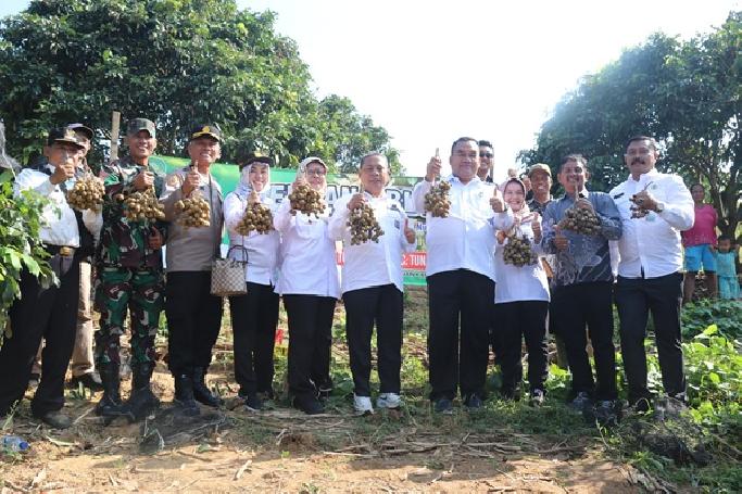 Petani Blora Kantongi Omzet Miliaran dari Kebun Kelengkeng