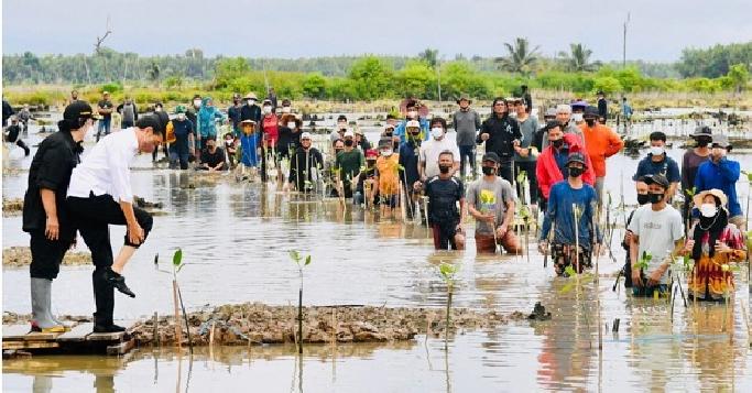 Tiba di Tana Tidung, Presiden Disambut Prosesi Adat Tepung Tawar