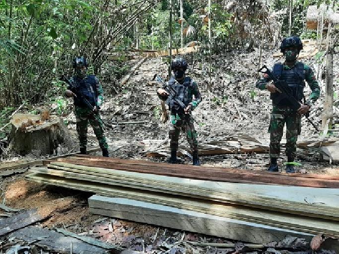 Satgas Pamtas Yonif 642/Kapuas Amankan Kayu Ilegal