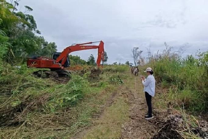 Sekdakab Taput Pimpin Pembukaan Lahan Kawasan Pertanian Terpadu di Siborong-borong
